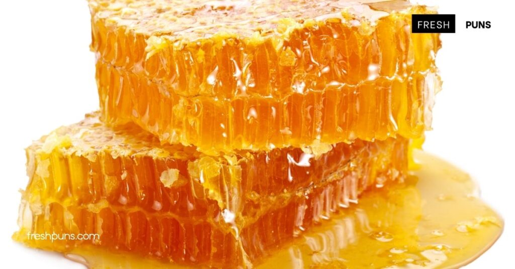 10 Sweet Honey Puns That Will Bee the Life of Your Next Gathering 3 6 Hilarious Honey Puns for Foodies