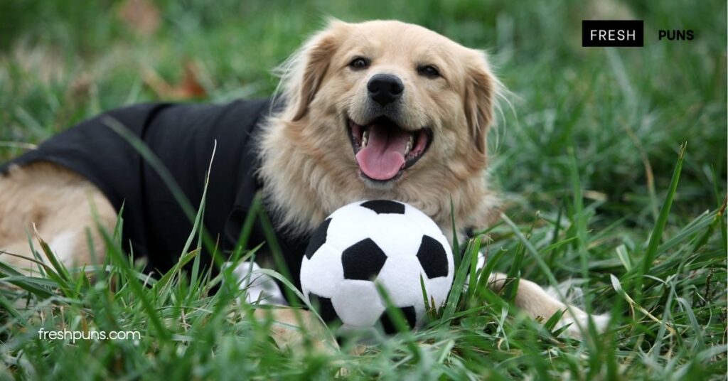 Kick Up Your Laughs: The Best Soccer Puns to Score Big with Friends 2 Funny Soccer Puns for Social Media