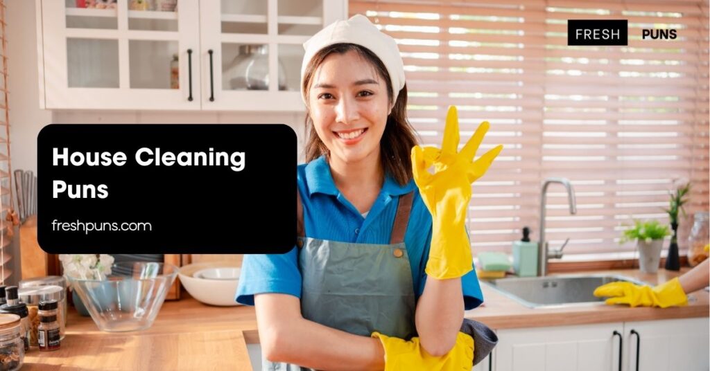 House Cleaning Puns