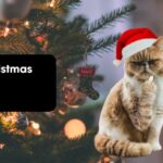 Rude Christmas Puns