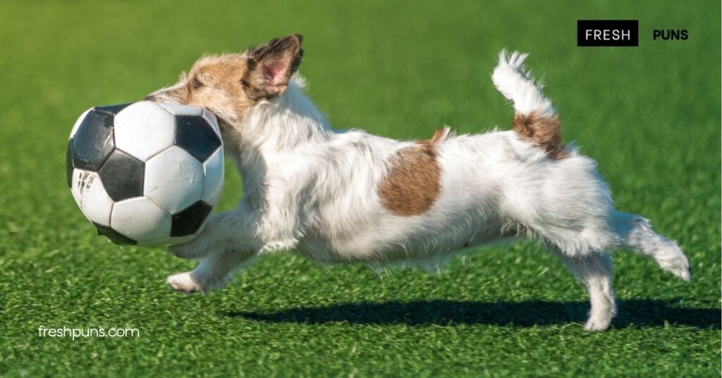 Kick Up Your Laughs: The Best Soccer Puns to Score Big with Friends 1 Understanding Soccer Puns