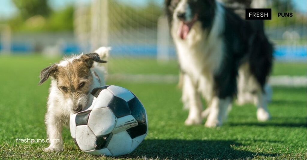 Kick Up Your Laughs: The Best Soccer Puns to Score Big with Friends 4 Using Soccer Puns in Conversations